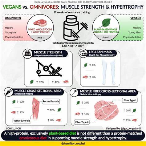 Omnivorous? Vegan? Makes no difference to muscle building after weight training