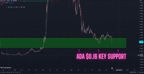 Cardano (ADA) Price Prediction in 2023, 2024, 2025 & 2030 - Bitcoinsensus