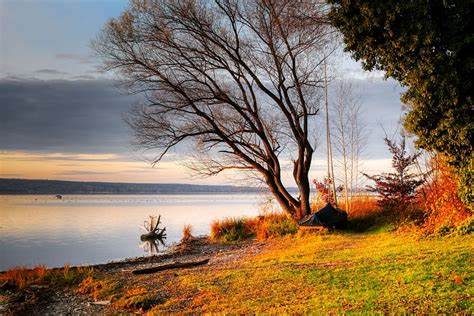 Kostenlose Bilder entdecken und downloaden - Pixabay