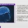 What happens to your brain when you watch videos online at faster speeds