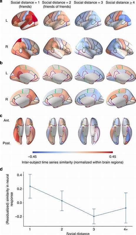Friendship promotes neural and behavioral similarity