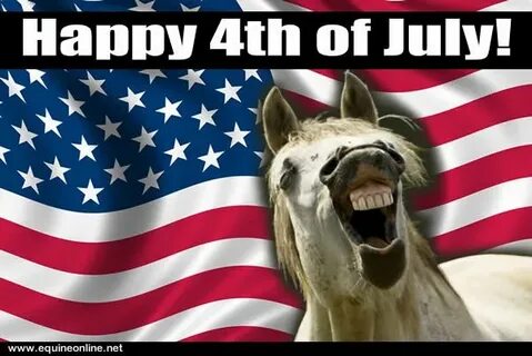 44 Funny 4th of July Memes to Celebrate Independence Day - Reader's Digest
