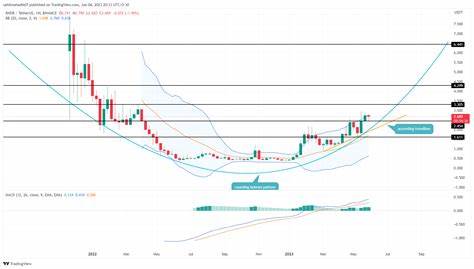 Render’s market activity balances out after 30% weekly gain: what’s next for RENDER price?