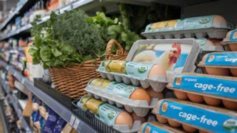 Higher Egg Prices Lift Results for Cal-Maine Foods; Shares Hit a Record