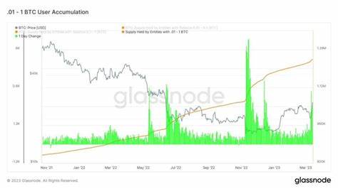 Retail Accumulation and Exchange Outflows Drive Market Optimism for Bitcoin - CoinDesk