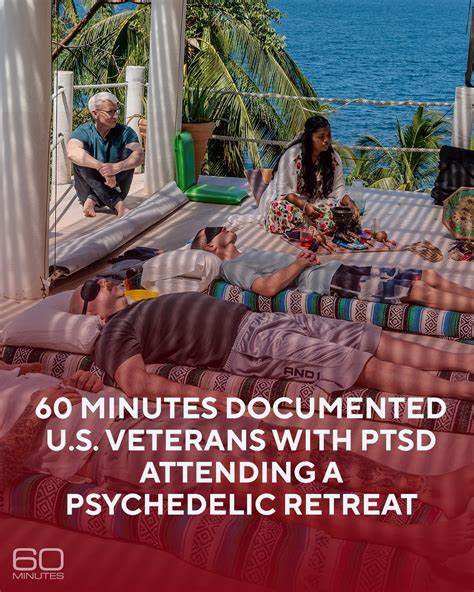 Why Veterans with PTSD Are Turning to Psychedelics