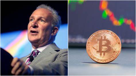 Peter Schiff Says MicroStrategy Should Buy $4.3B Seized Bitcoin from Silk Road - The Crypto Basic
