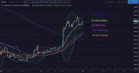 Bitcoin lacks strength, but ETH, BNB, XMR, and TAO show promise - TradingView