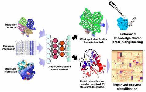 Scientists discover off switch enzyme that could stop heart disease and diabetes