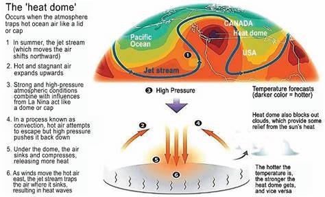 The science behind the heat dome – 'a mosh pit' of molecules