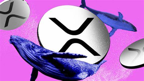 CBOE bids to fast-track $8bn XRP ETF investment boom