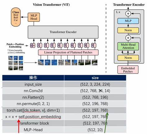 AC-DiT: Adaptive Coordination Diffusion Transformer for Mobile Manipulation