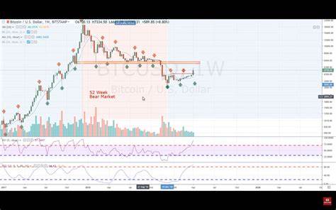 The Next 4-Year Cycle in Bitcoin is Underway - CoinIdol