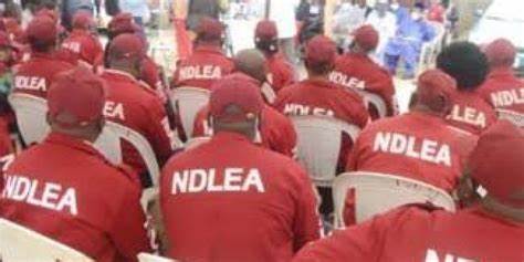 Allegations Of Lopsided Appointments, Nepotism Baseless — NDLEA