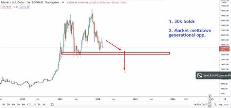 Crypto Trader Unveils Worst-Case Scenario for Bitcoin This Cycle – Here’s His Outlook - The Daily Hodl