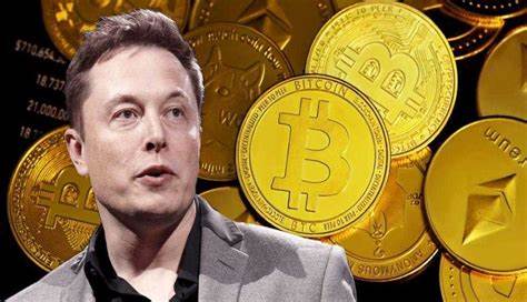 Elon Musk’s Favorite Crypto: How Much You’d Have If You Invested $1K 6 Years Ago - Nasdaq