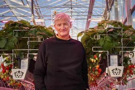 James Dyson is robo farming strawberries in Lincolnshire