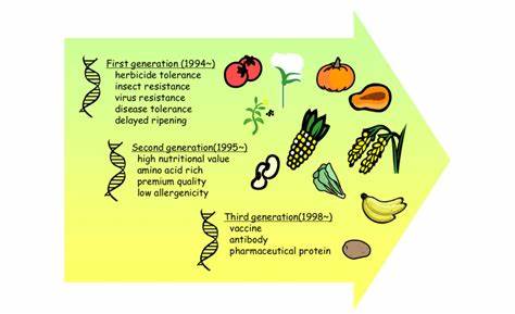Engineered plants with doubled carbon uptake and more seeds and lipids