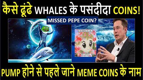 Missed BONK, BODEN, WIF? Whales Are Buying These Meme Coins Now - CoinGape