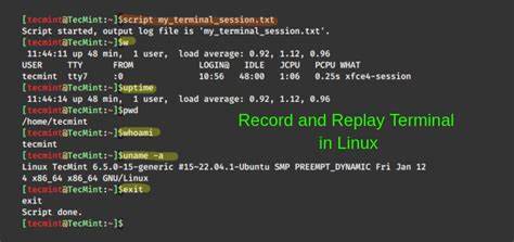 Show HN: Rewindtty – Record and replay terminal sessions as structured JSON