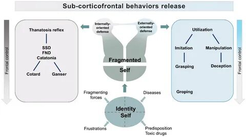FND – Unpacking the Tipping Point of Functional Neurological Disorder (FND)
