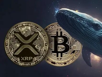 XRP Whales Accumulate Over 90 Million Coins – Is Something Big Coming? - Binance