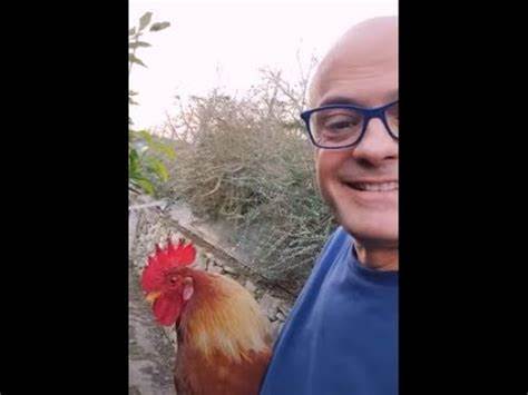 L'UOVO di RAPANELLO SALVA LA CENA IN UN MINUTO ricetta salva ... - YouTube