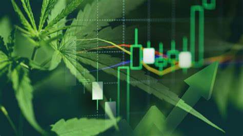 Um 18 Uhr live: Cannabis-Aktien kurz vor dem Comeback? - So investieren Sie in die Trendbranche