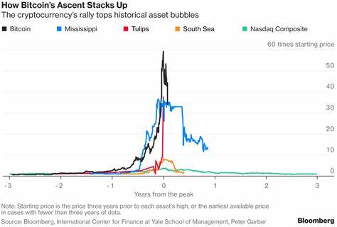 Is Bitcoin a tulip bubble? What risks will the market face in 2025? - ChainCatcher