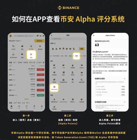 Show HN: I built a Binance Alpha Tool for points checking and airdrop tracking