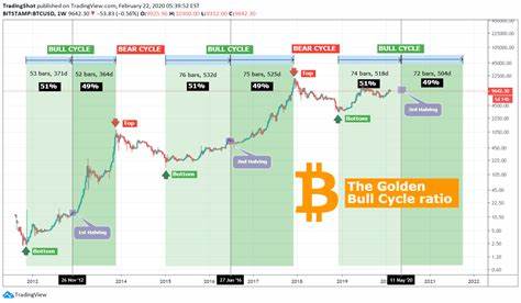 Bitcoin’s 2025 Bull Run: Will It Reach New All-Time Highs?