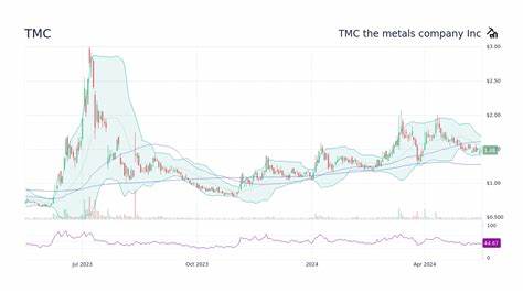 Why TMC The Metals Company Stock Skyrocketed 47.7% Last Month, but Is Slipping in July