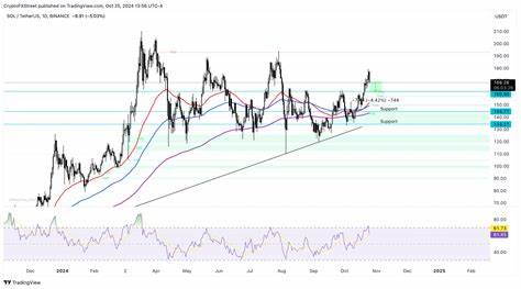 Solana Price Forecast: SOL corrects even as on-chain metric hits record high - FXStreet