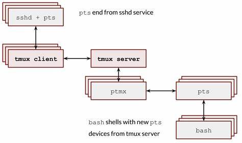 Durable, multi-player pseudo-terminal