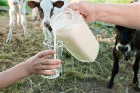 Outbreak of Salmonella Infections Linked to Commercially Distributed Raw Milk