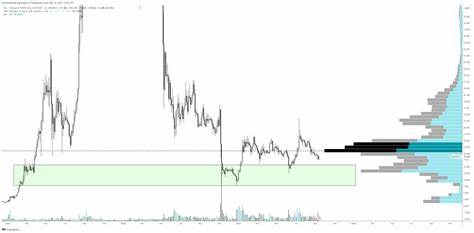 Trader Says Bitcoin Just Flashed a ‘Great Sign’, Predicts One Top-10 Altcoin Will Go Parabolic in Coming Months - The Daily Hodl
