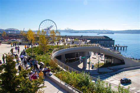 25 Top Things to Do in Seattle (Must See Attractions)