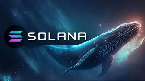 Solana Traders Eye $260 Price Boost as Whales Move SOL Off Exchanges - ZyCrypto