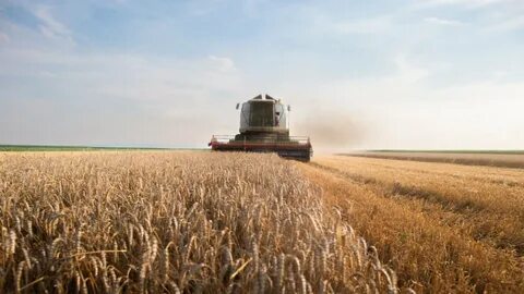 Adecoagro Says Tether Submits Bid to Acquire Majority Stake (2)