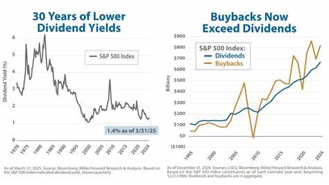 Where have all the dividends gone?!