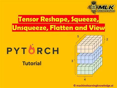 PyTorch Reshaping with None