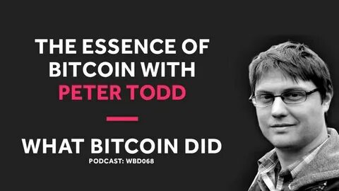 Who is the individual referred to as Peter Todd in relation to the Bitcoin developer? - List23