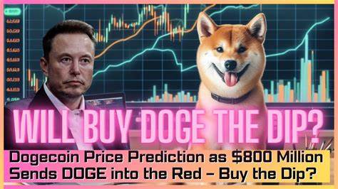 Dogecoin Price Prediction as $800 Million Sends DOGE into the Red – Buy the Dip? - Cryptonews