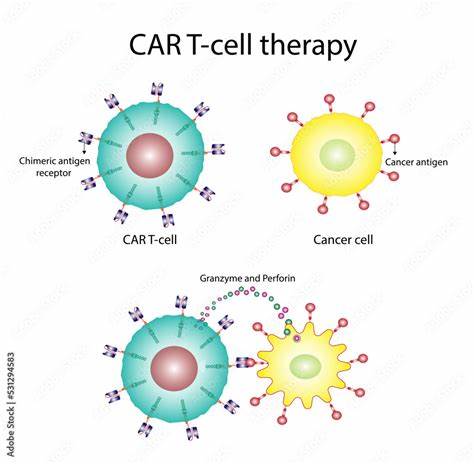 An AI-Generated Protein Helps T Cells Kill Cancer