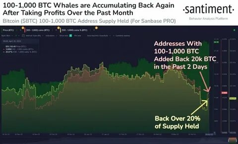 Whale Trader Closes BTC and ETH Positions, Gains $6.8M in One Day