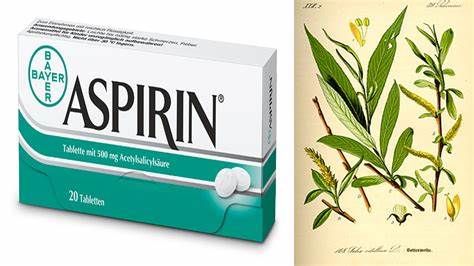 Uncertain Origins of Aspirin