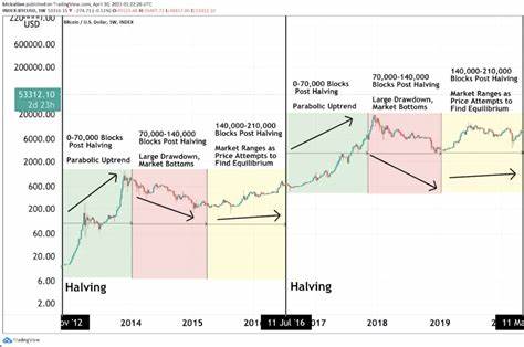 What's Next for Bitcoin After the Halving? - Decrypt