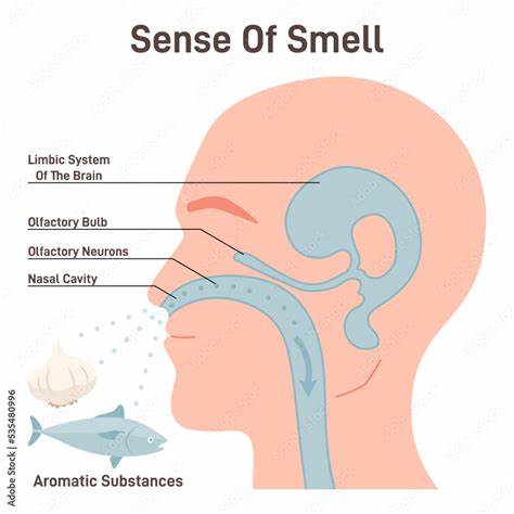 How Smell Guides Our Inner World