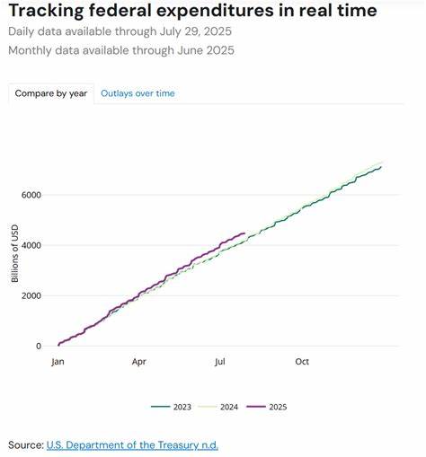 Senate: DOGE Wasted 10s of Billions Chainsawing Government in Name of Efficiency