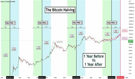 Bitcoin Halving: Anticipating Price Impact, Miner Challenges, And Long-Term Outlook - TradingView